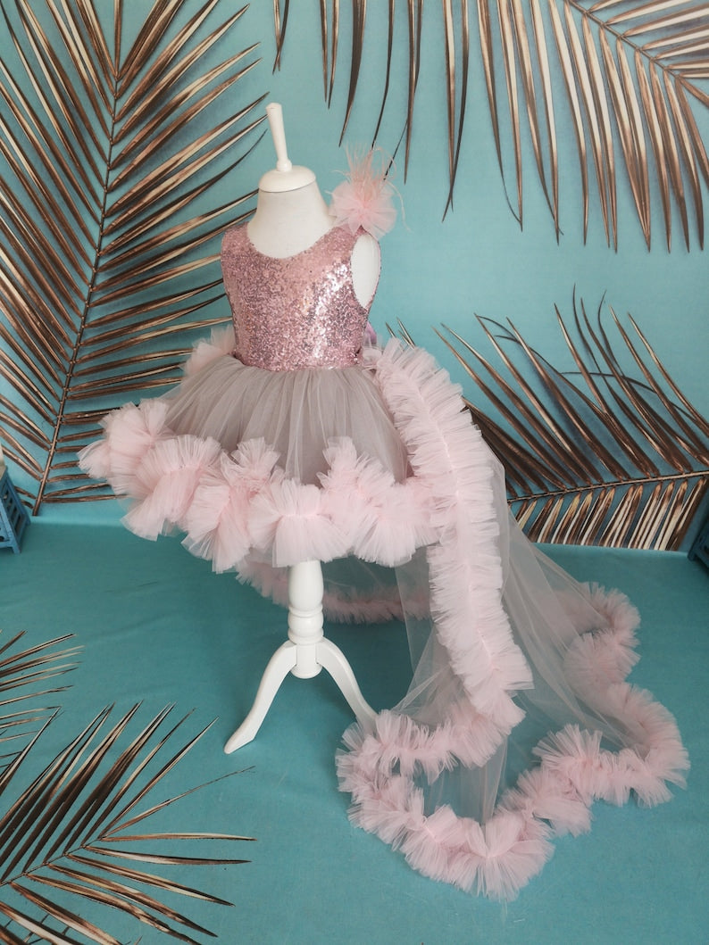 Peach Sleeveless And Sequins With Bow Embellished Tailback Frock For Girls